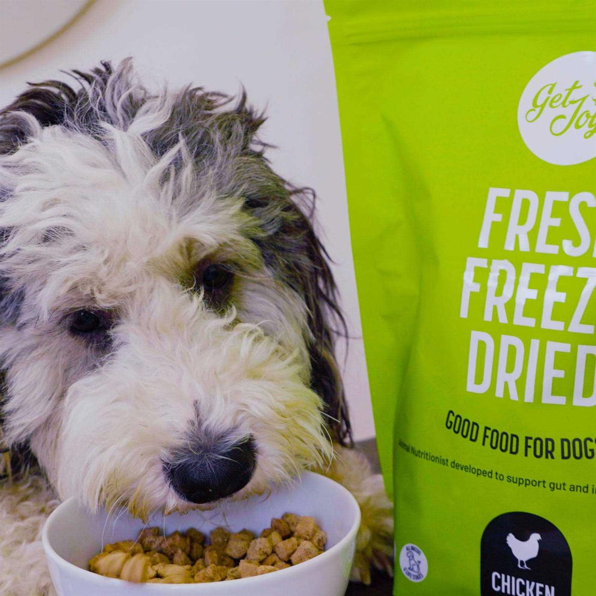Freeze Dried Raw Beef Dog Food R134165