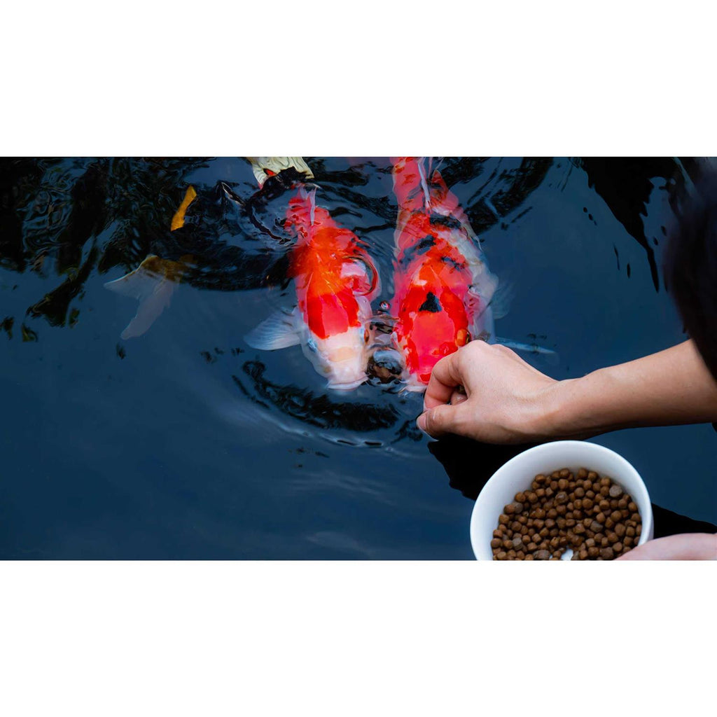 Floating Fish Food E199