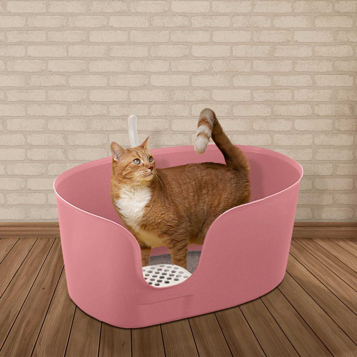 High Wall Cat Litter Box XL K308