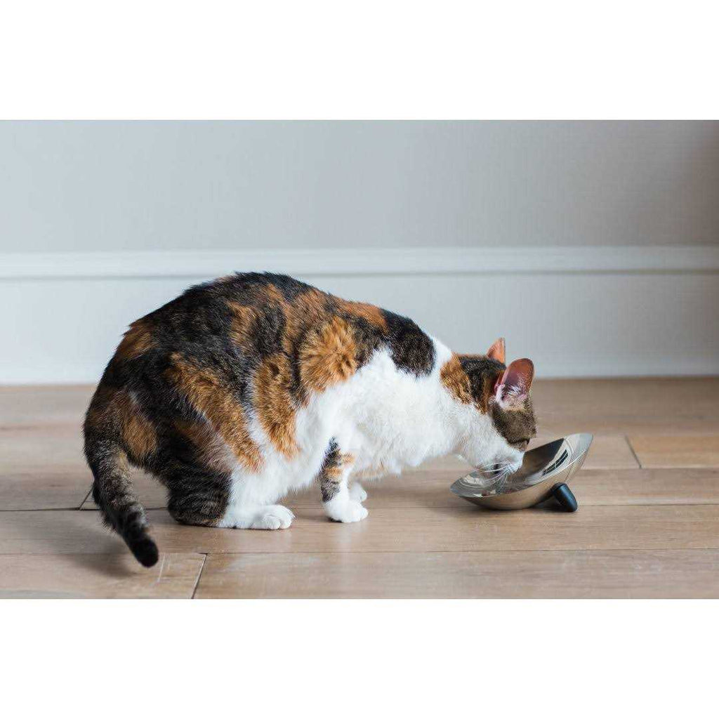 Stainless Steel Cat Bowl S86417