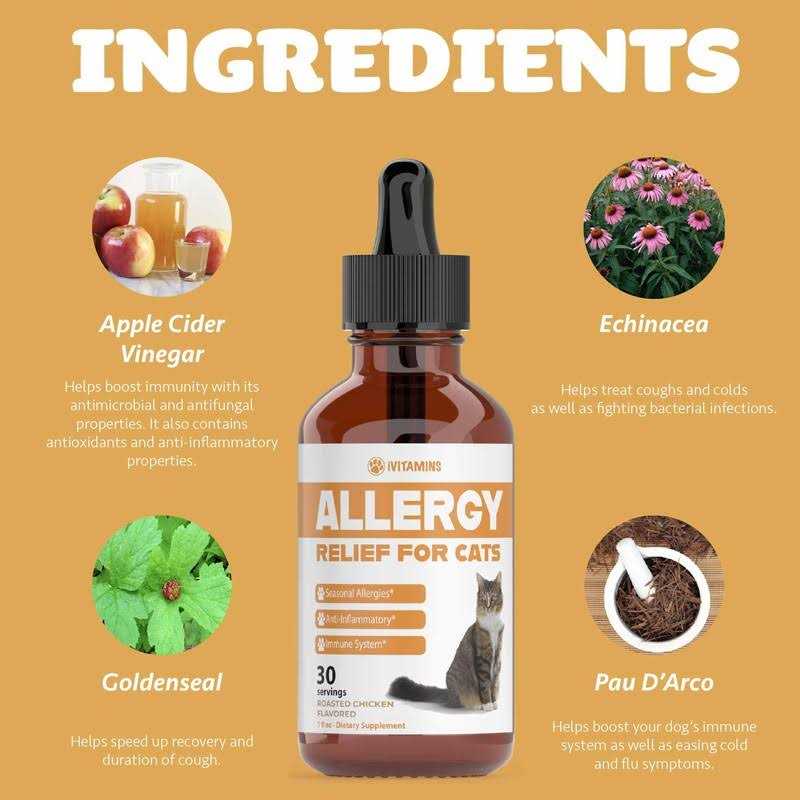 Allergy Relief for Cats H356