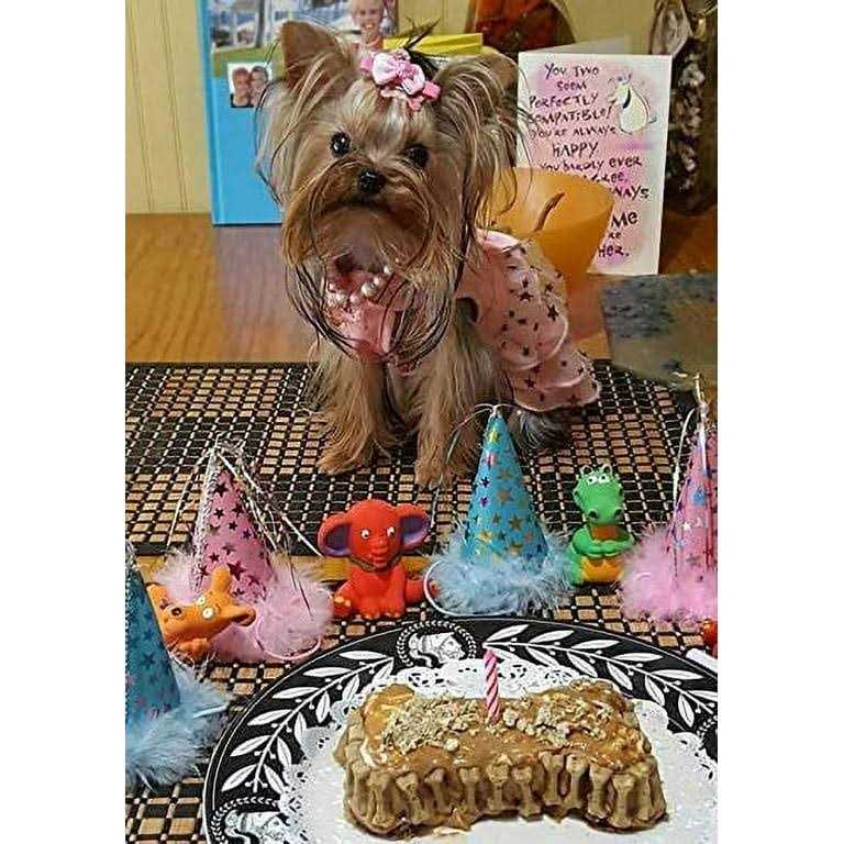 Birthday Cake Kit For Dogs D318