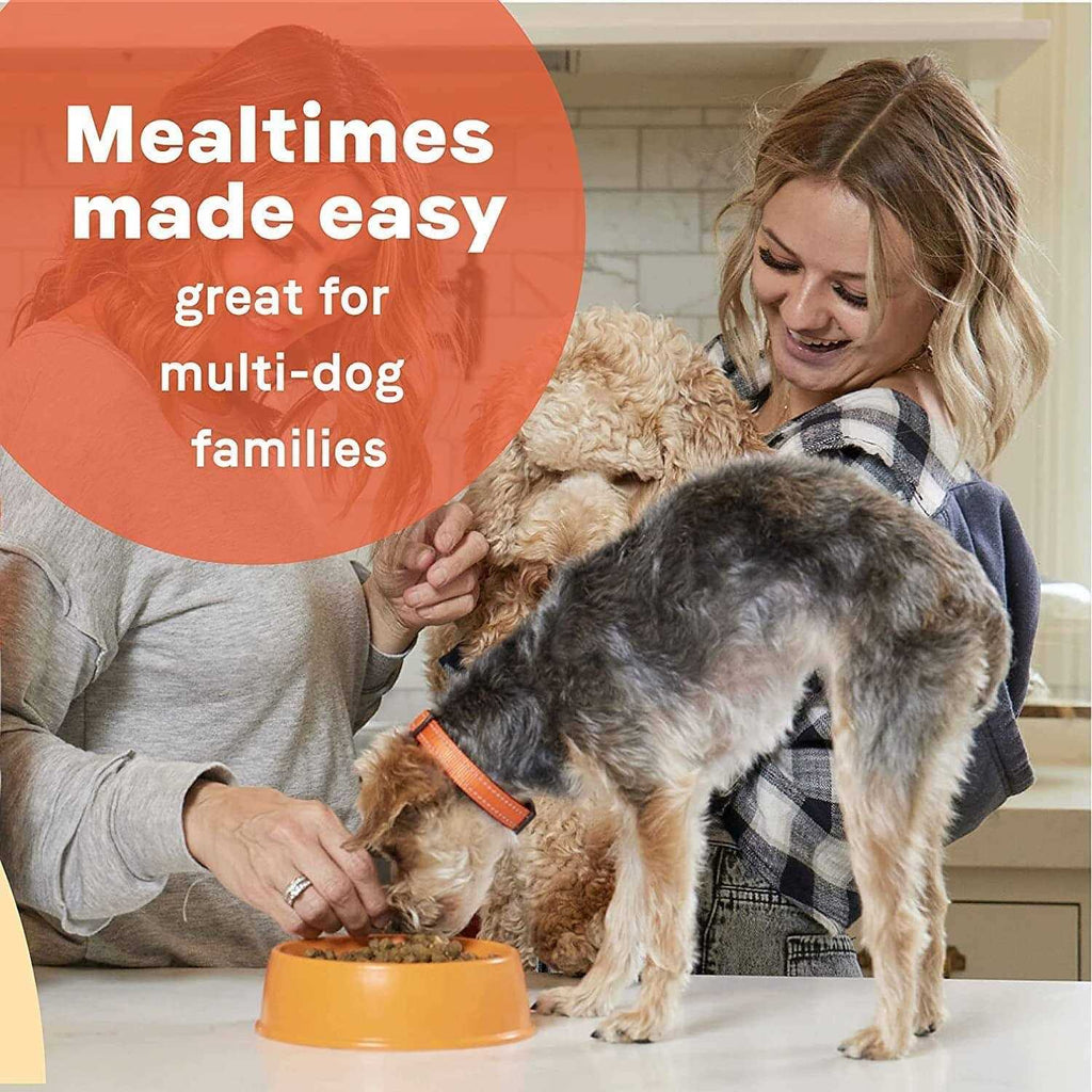 Dry Dog Food X907808