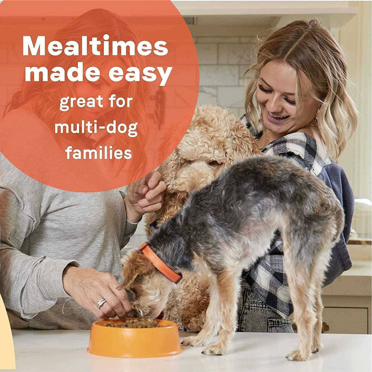 Dry Dog Food X907808