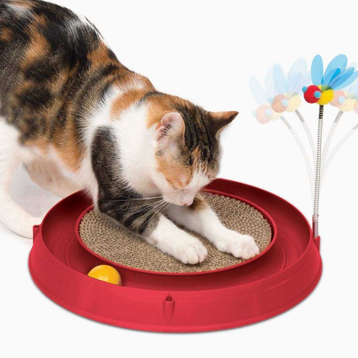 Circuit Ball Cat Toy with Scratch Pad A222