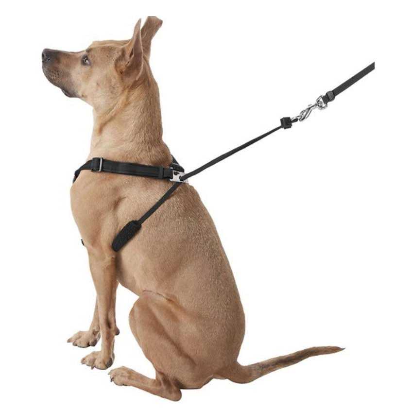 Dog Harness M7497