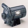 Cast Iron Centrifugal Pump and Motor Assembly, 1 HP K5849