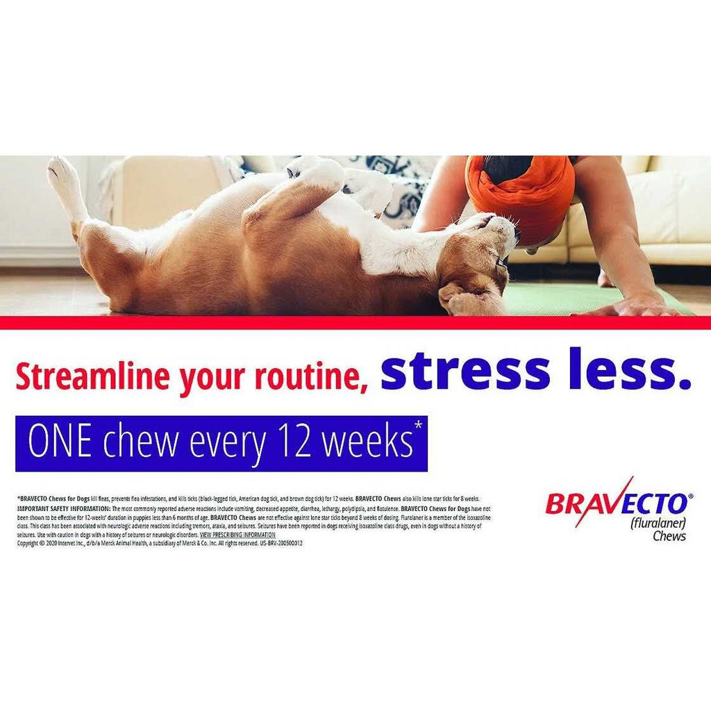 Bravecto Chews for Dogs I623131