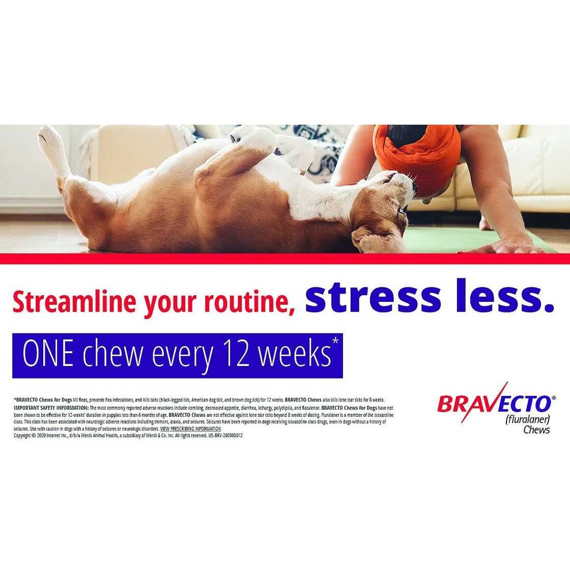 Bravecto Chews for Dogs I623131