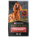 Salmon & Rice Dry Dog Food J101960