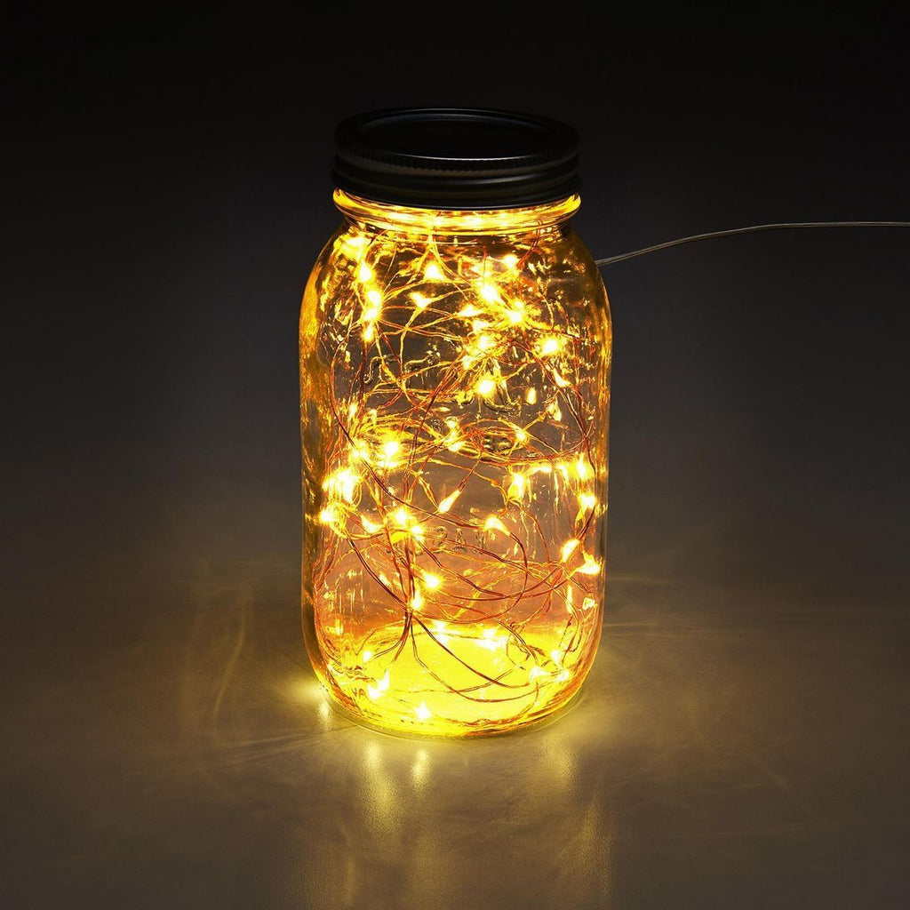 Warm White Copper Wire Lights with Remote L1309
