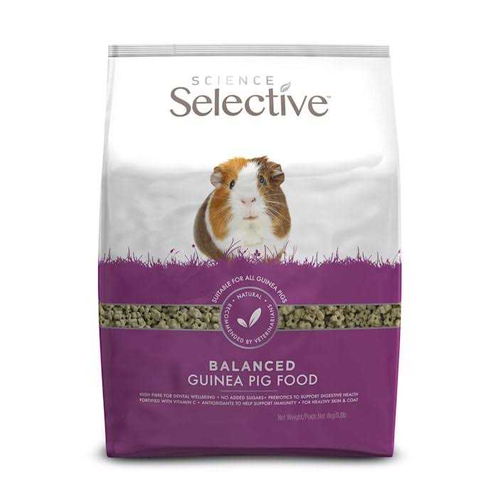 Guinea Pig Food B87923