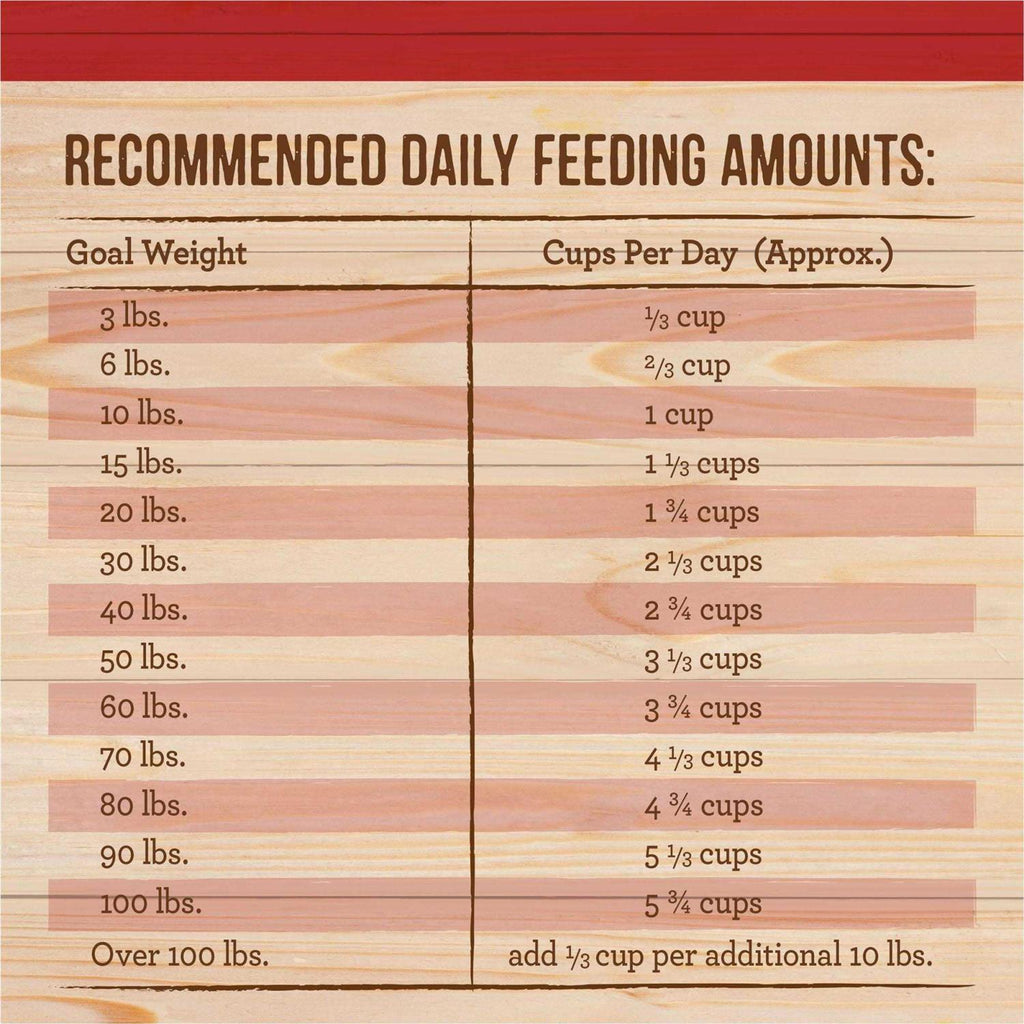 Healthy Grains Freeze Dried Raw Coated Dry Dog Food I99830