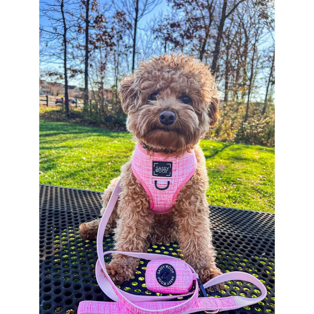 Reversible Dog Harness O8061