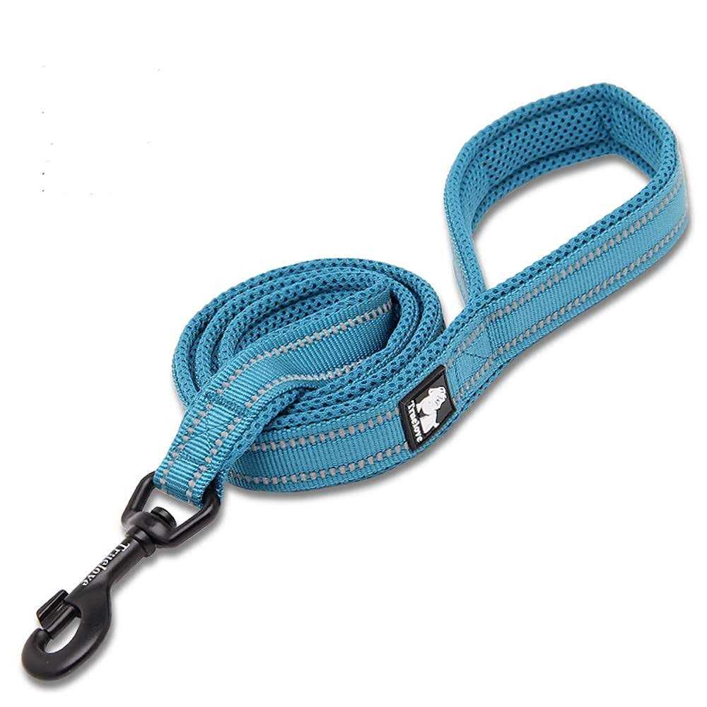 Padded Reflective Dog Leash C5745