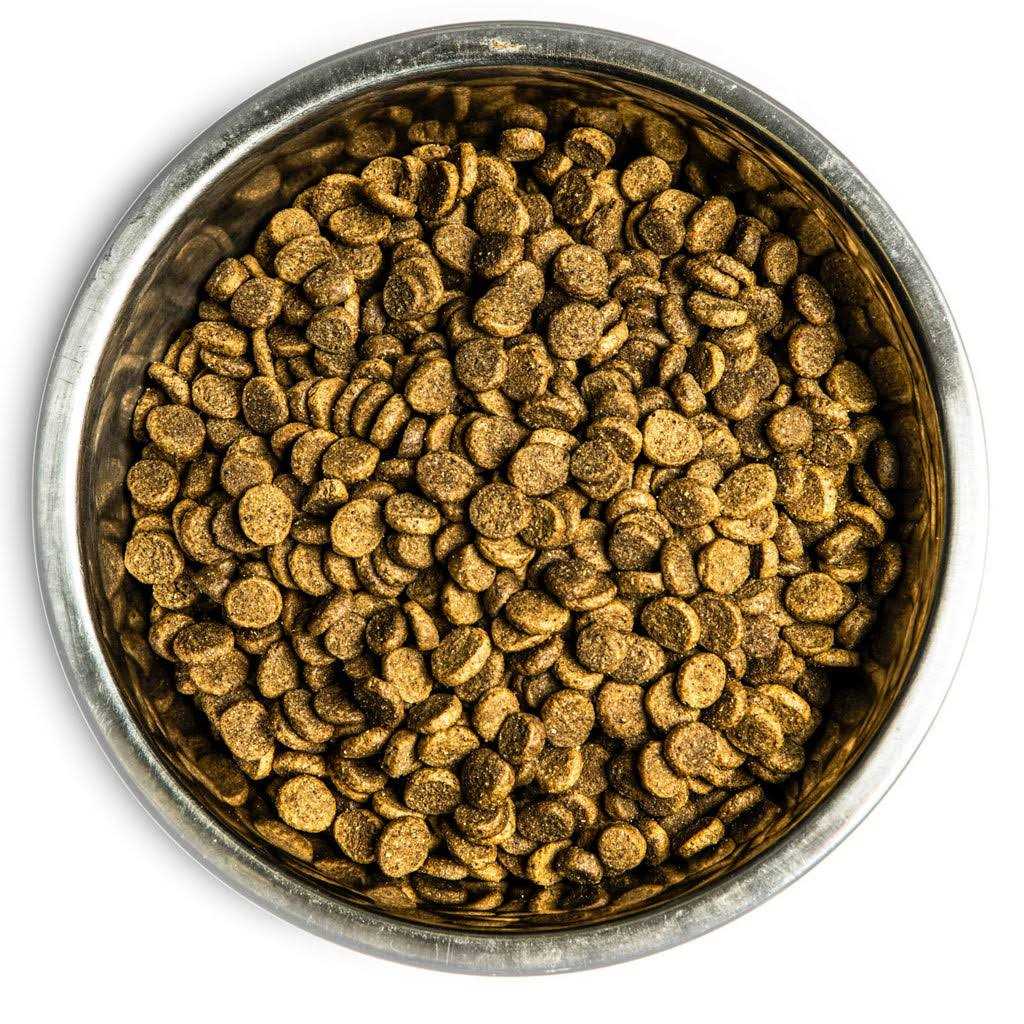 Dry Dog Food N991603