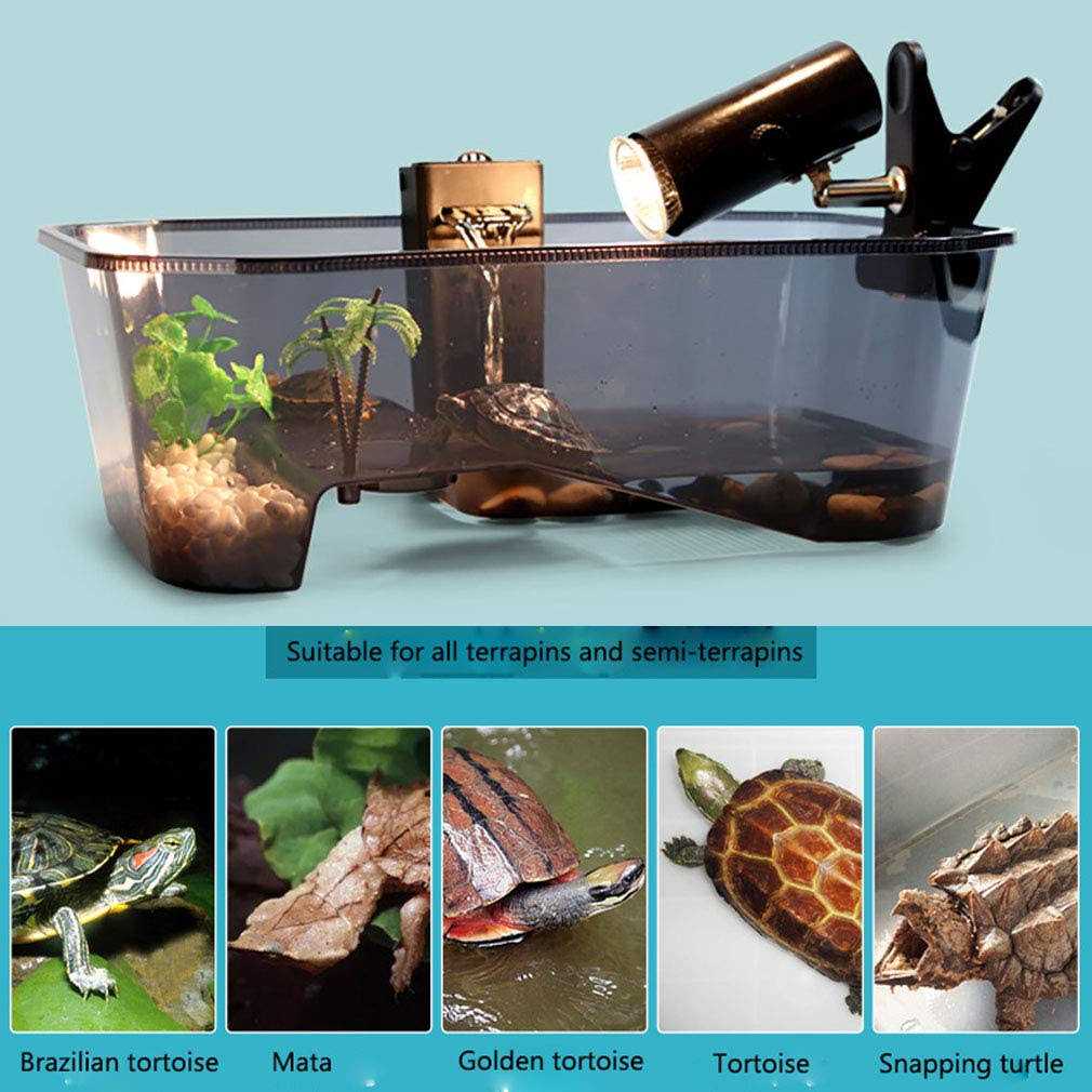 Turtle Tank Aquarium with Platform Plants K46432