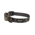 Pet Collar Y43799
