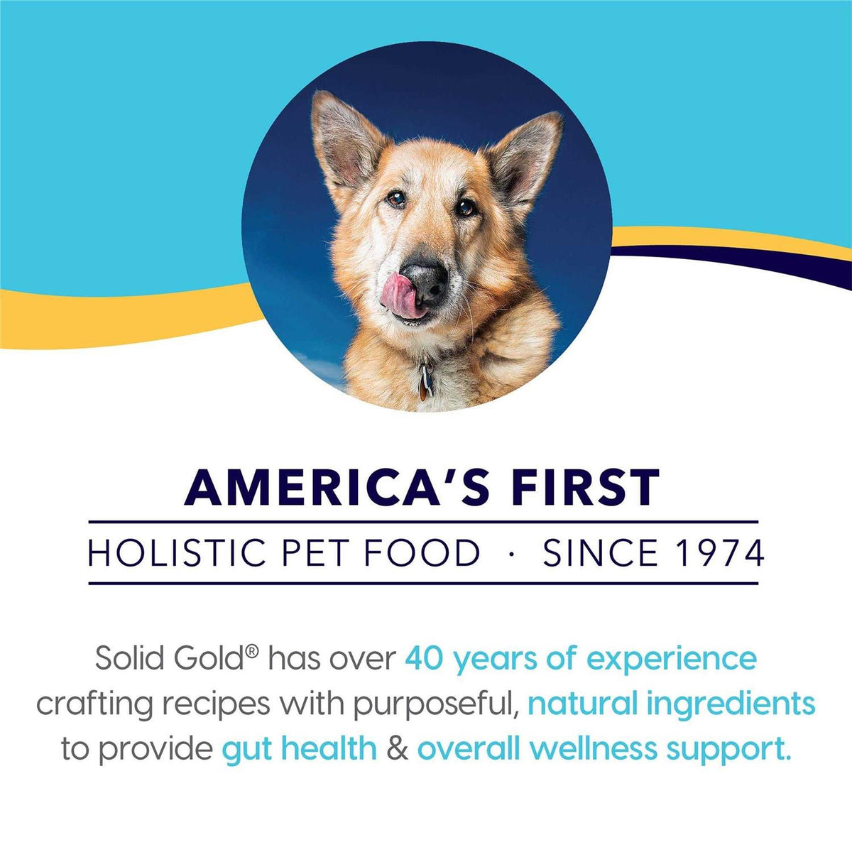 Grain Free Dog Food Topper A15674