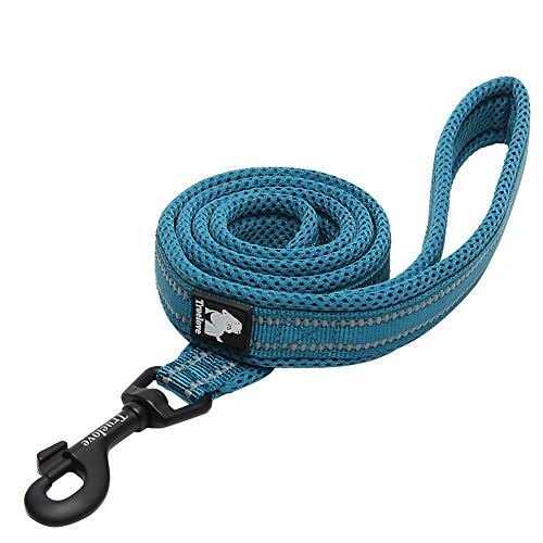 Padded Reflective Dog Leash C5745