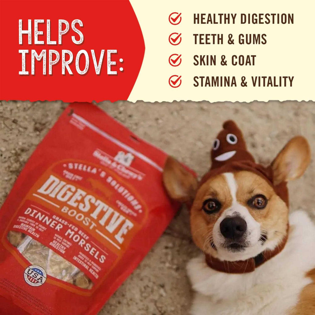 Freeze-Dried Beef Dog Food B455
