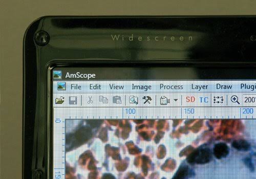1.3 Mega Pixel USB Digital Microscope Camera P3241