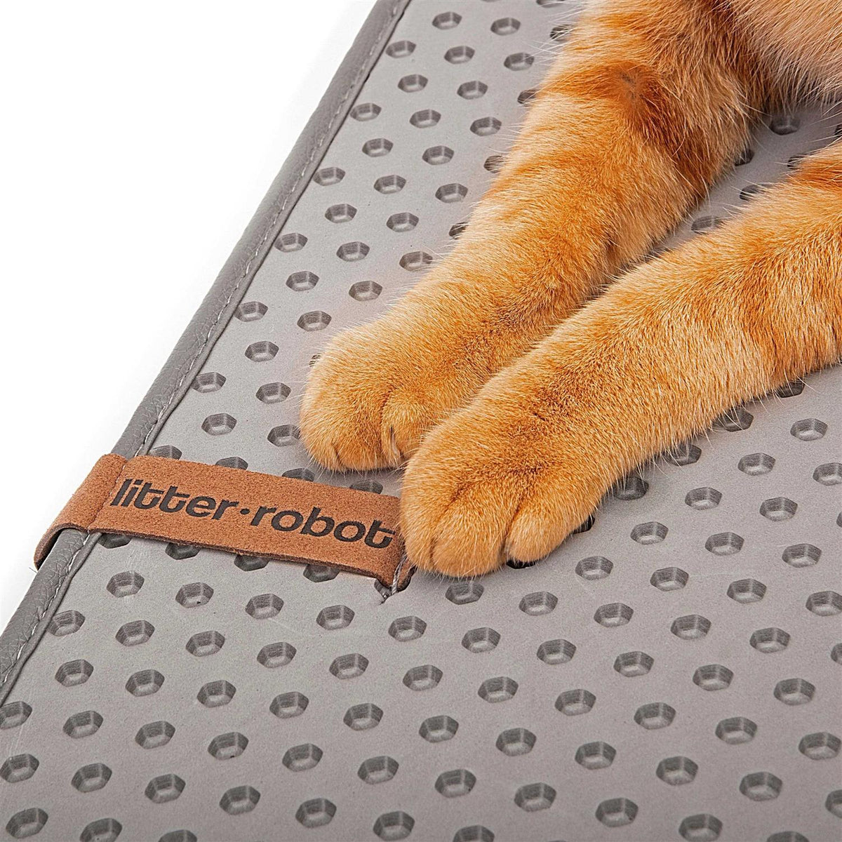 Cat Mat I1863
