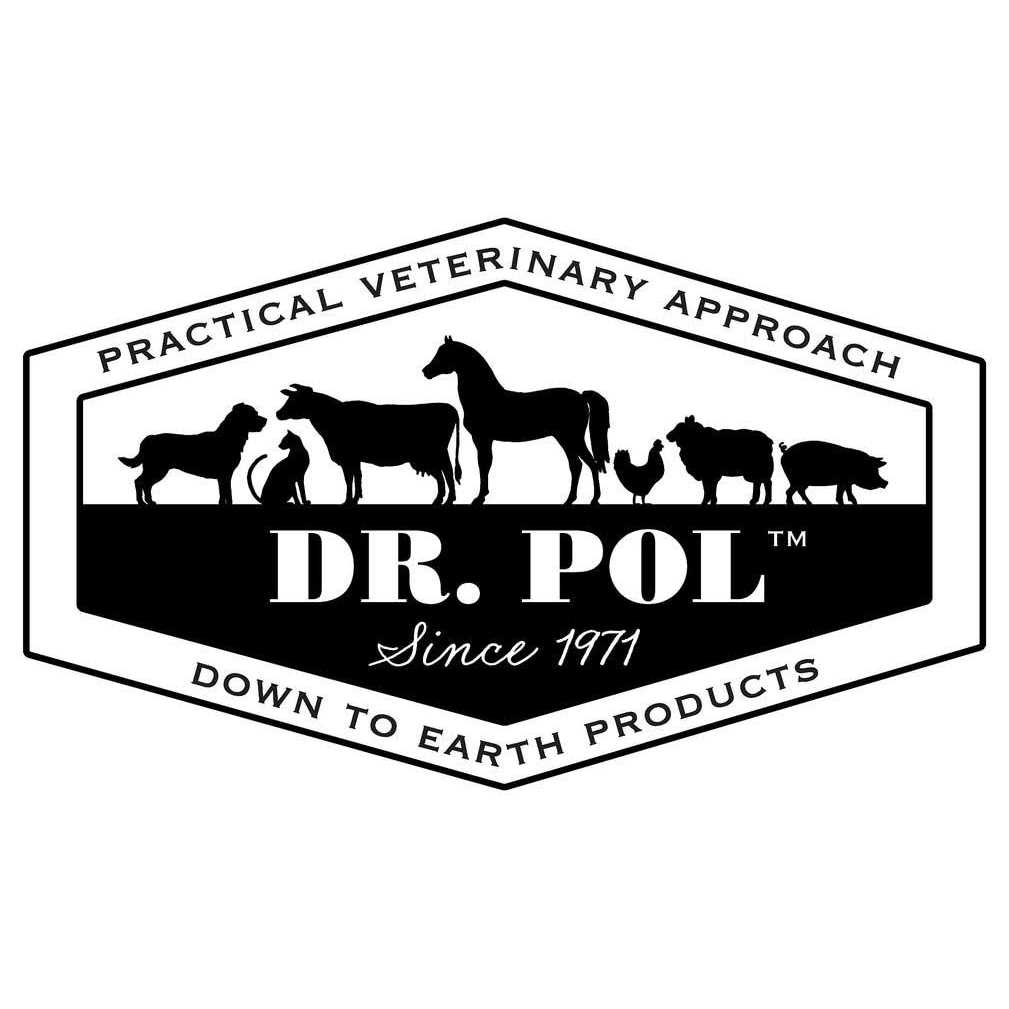 Chicken Recipe Dry Dog Food R352
