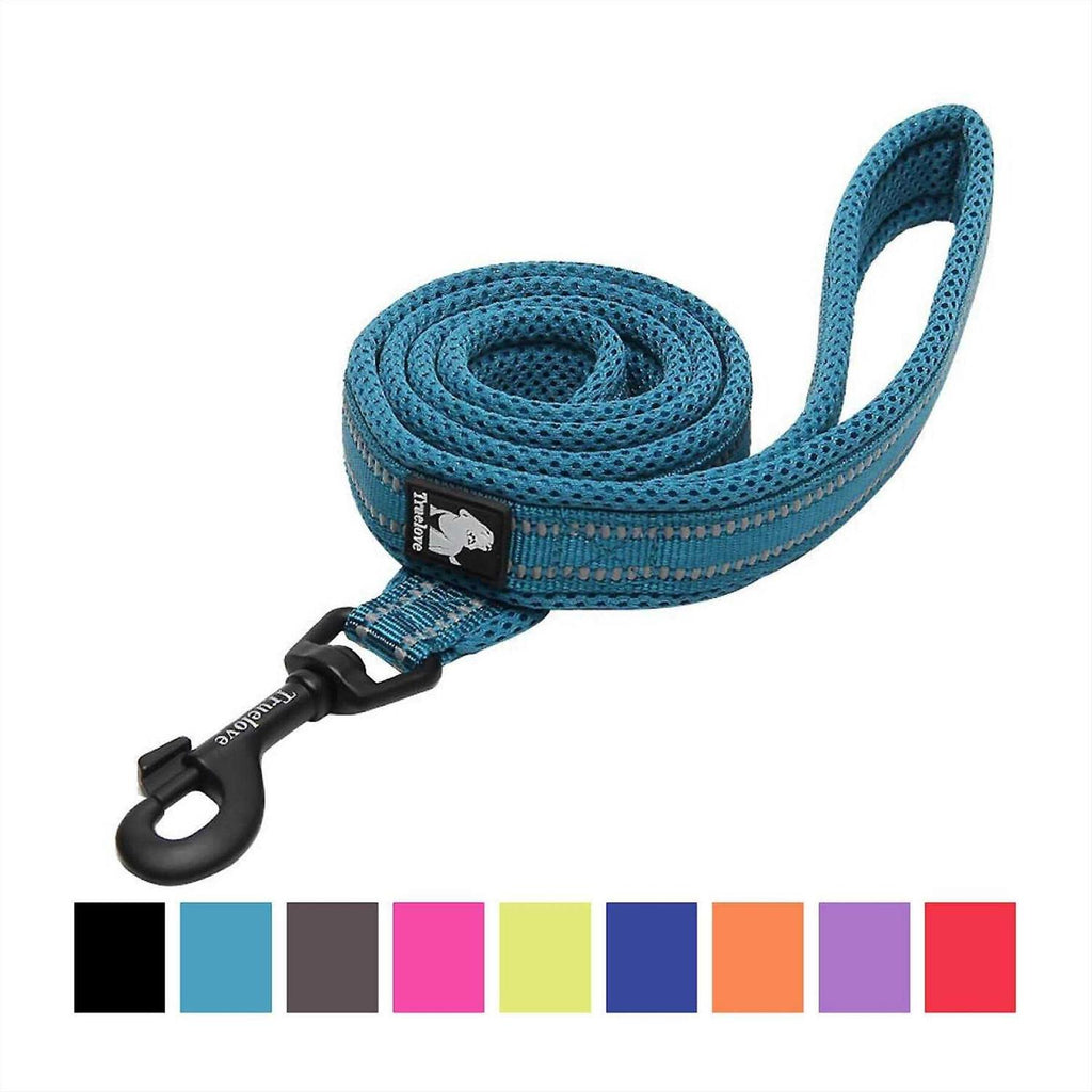 Padded Reflective Dog Leash C5745
