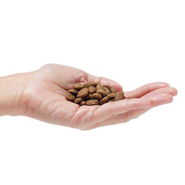 Grain-Free Dog Food X241383