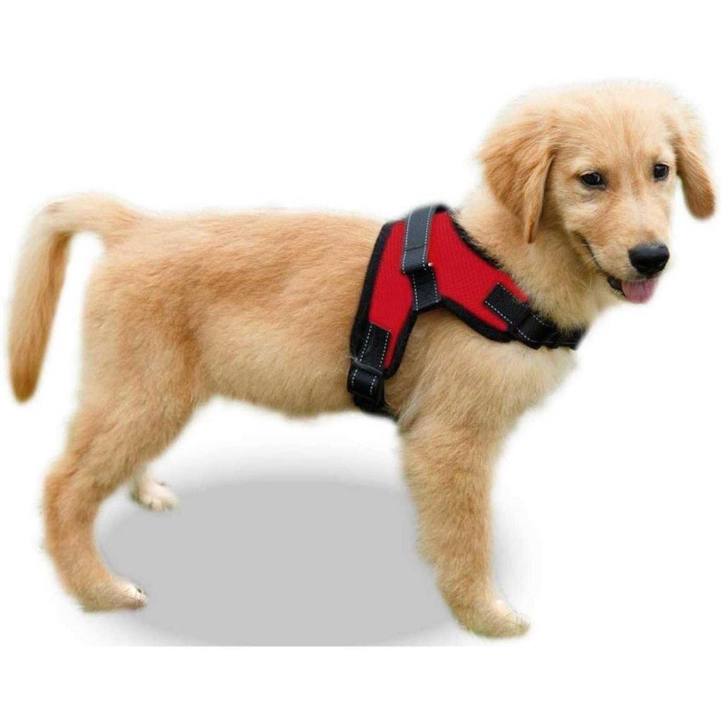 Adjustable Reflective Dog Harness with Handle O717978