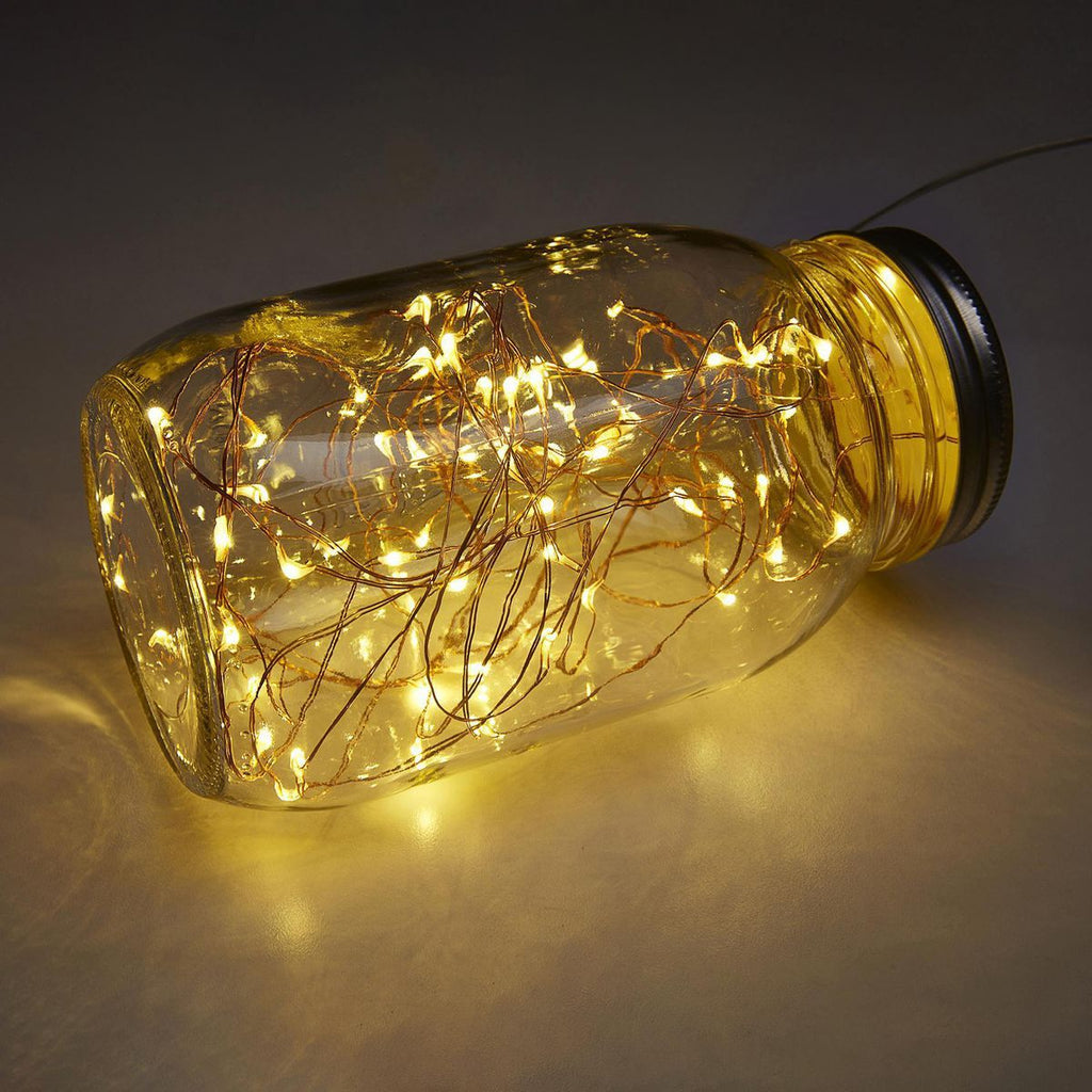 Warm White Copper Wire Lights with Remote L1309