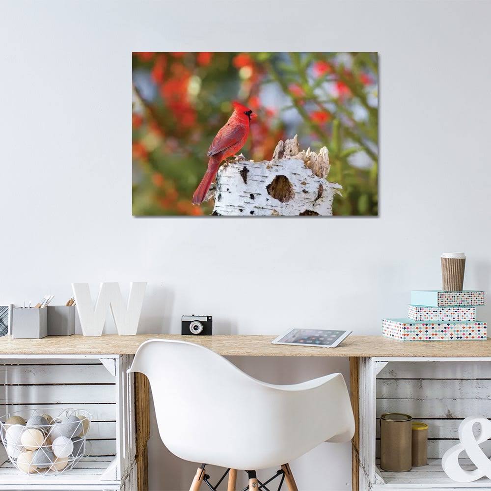 Male Northern Cardinal Canvas Art Wall Decor A233