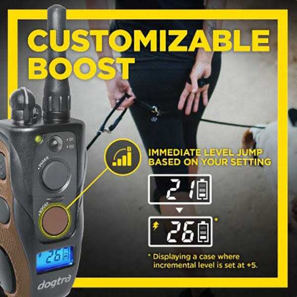 Dogtra 1902S Handsfree Plus - Pet Supplies online store P859569