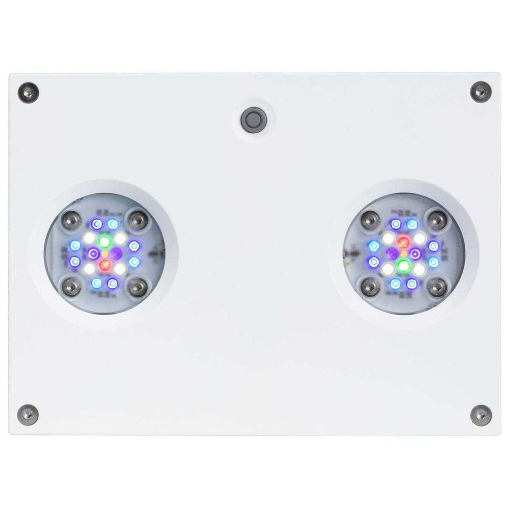Hydra 32 HD LED T5353