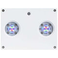 Hydra 32 HD LED T5353