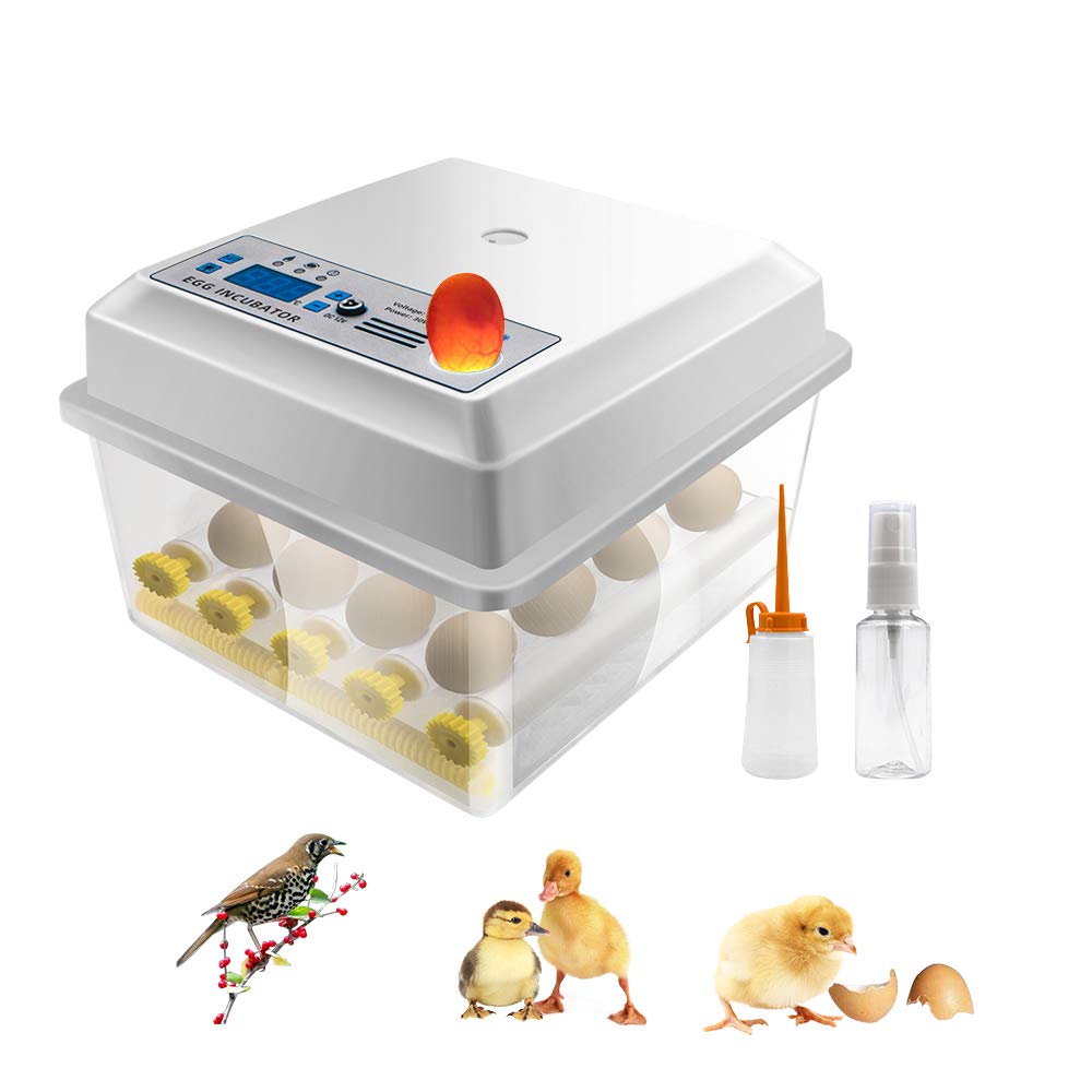 16 Eggs Digital Mini Egg Incubator with Automatic Turner and Egg Candler Tester F576