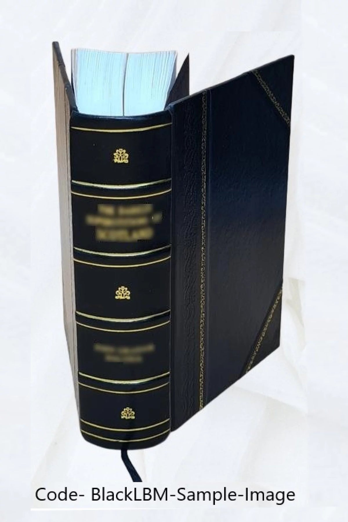 Digital Computer and Control Engineering Leather Bound U292400