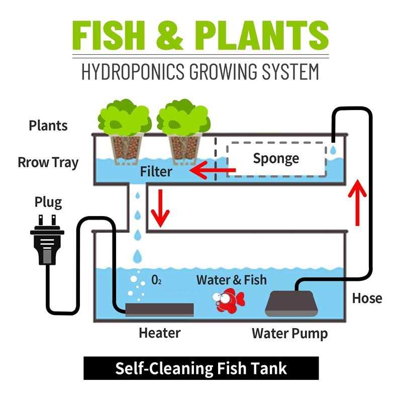 1.6 Gallon Betta Fish Tank with Heater and Filter D52357