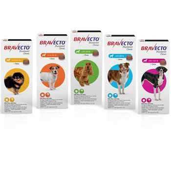 Bravecto Chews for Dogs I623131