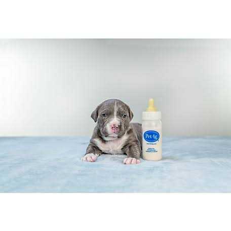 Nurser Bottle B61465