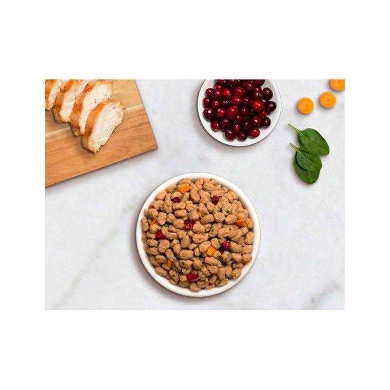 Chicken Recipe Dog Food R865425