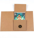 Comic Book Mailers Pack of 100 C4532