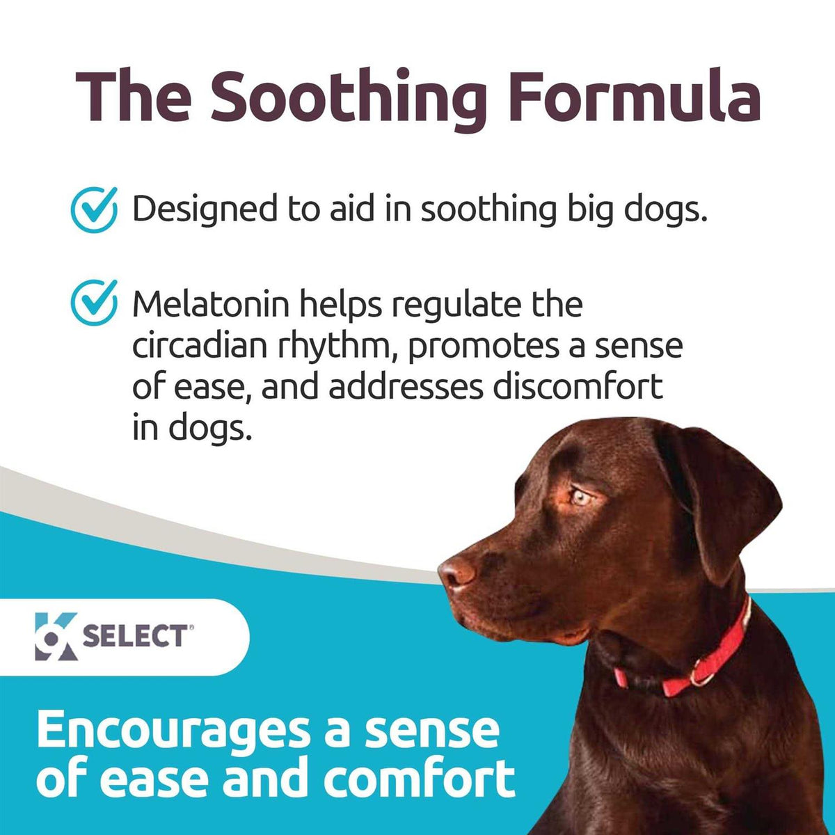 Melatonin for Dogs 6mg 90 Chewable Tablets S1673