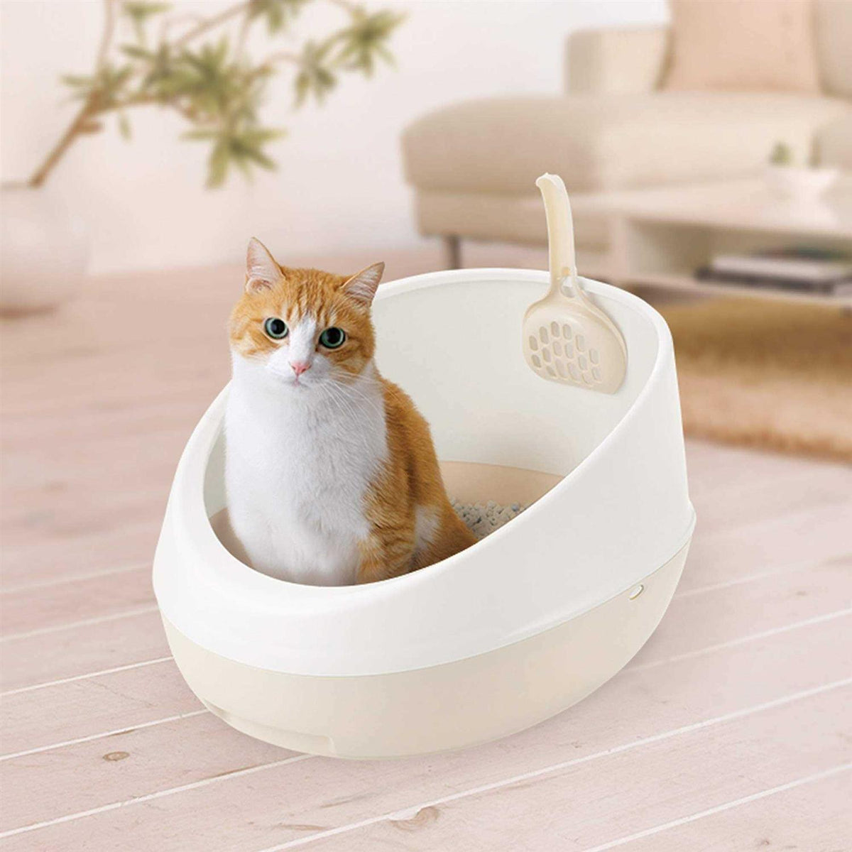 Cat Litter Pan S461756