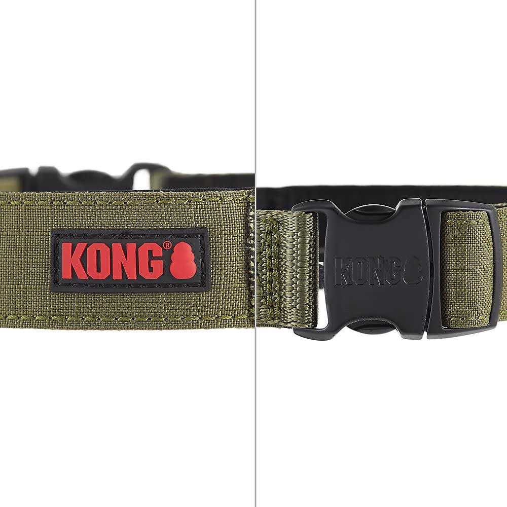 Padded Dog Collar C299