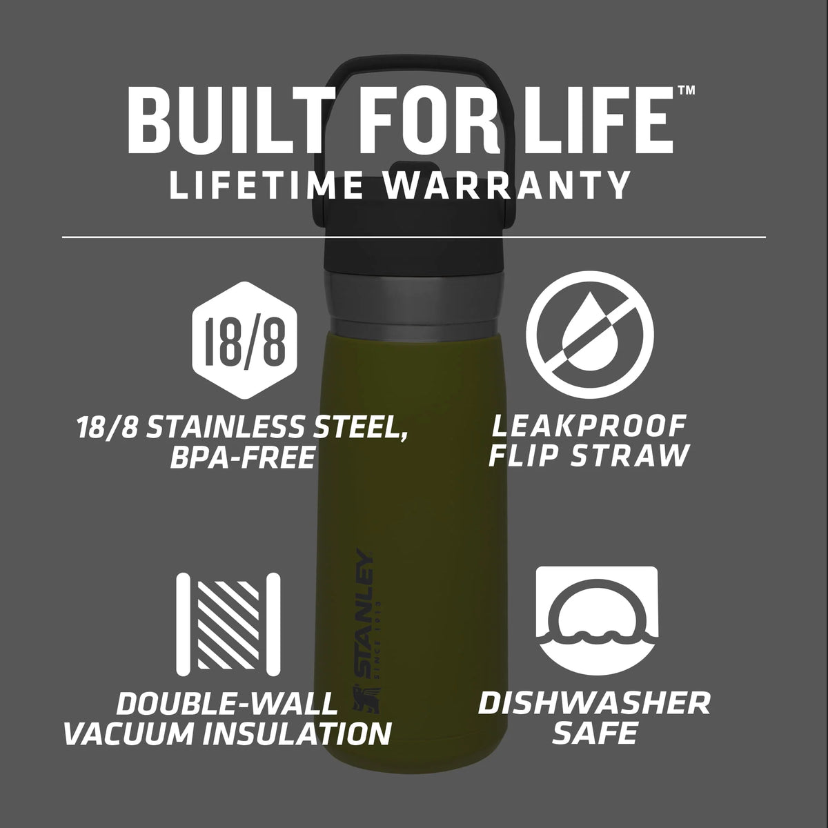 22 oz Insulated Stainless Steel Water Bottle with Straw and Flip-Top Lid E7960