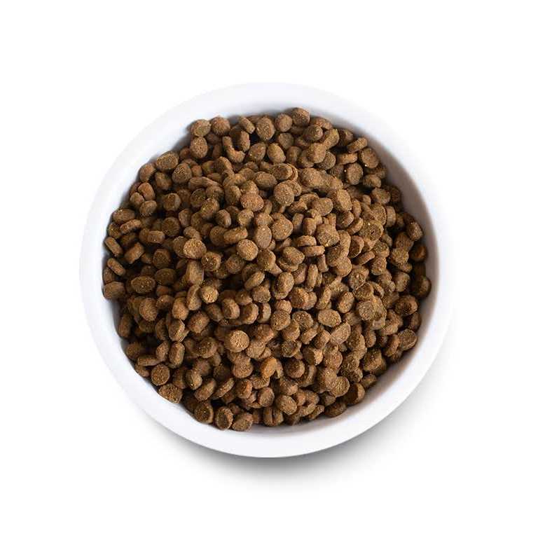 Grain Free Pasture Raised Lamb Recipe Dry Cat Food M62074