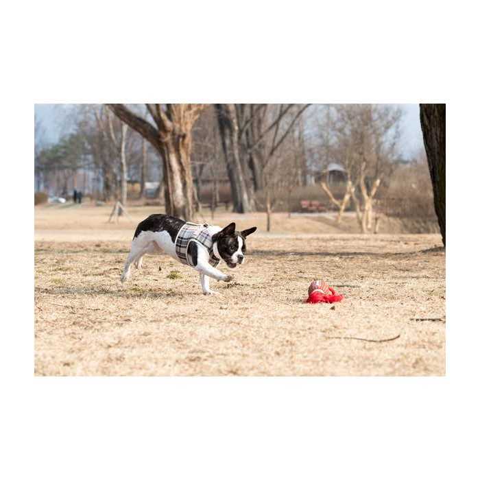 Dog Harness P750