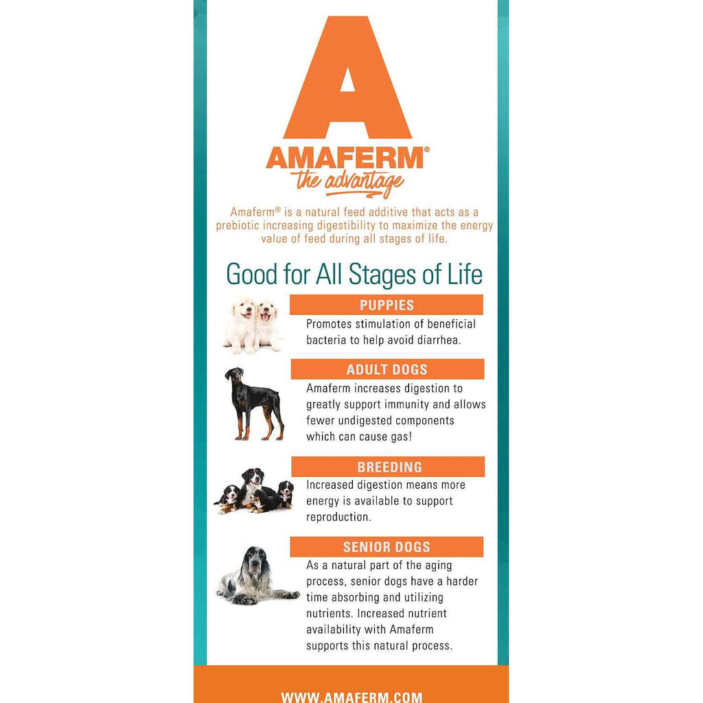 Dog Food U52690